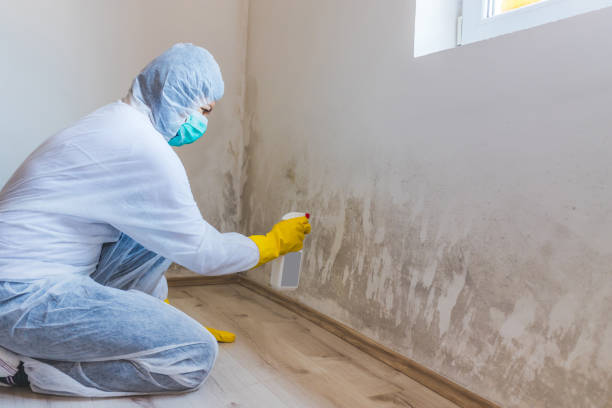 Bathroom Mold Removal assessment in Delaplane bathroom